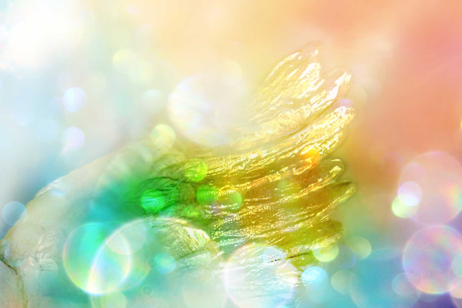 AdobeStock_233234489-shop